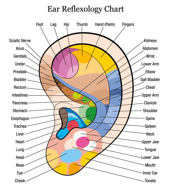 Reflexology Fertility Foot Chart